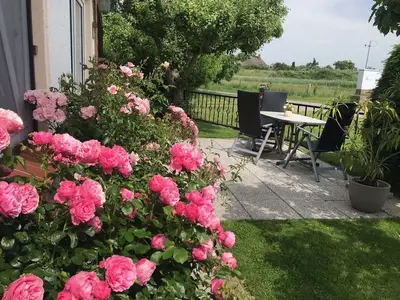 Ferienhaus für 3 Personen (57 m²) in Insel Poel 4/10