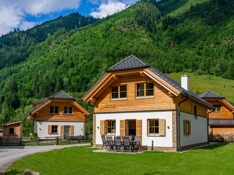 23896554-Ferienhaus-11-Irdning-Donnersbachtal-800x600-1