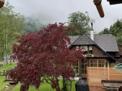 Werkstattl Garten Außenbereich (8)