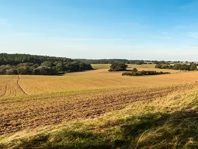 Ferienhaus für 4 Personen (70 m²) in Jabel 10/10