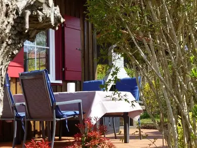 Ferienhaus für 4 Personen (60 m²) in Jabel 1/10
