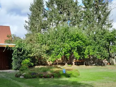 Ferienhaus für 2 Personen (40 m²) in Jabel 10/10