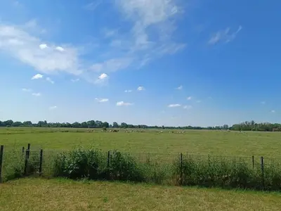 Ferienhaus für 6 Personen (70 m²) in Jade 4/10