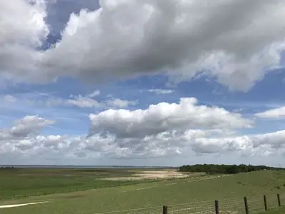 Ferienhaus für 5 Personen (70 m²) in Jade 8/10