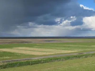 Ferienhaus für 5 Personen (50 m²) in Jade 9/10