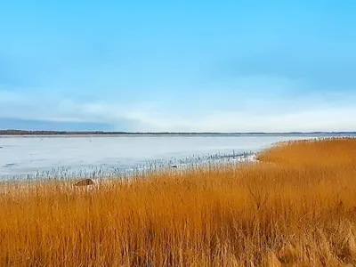 WaterView