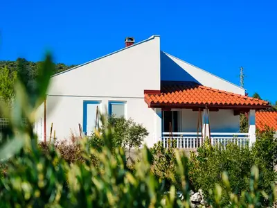 Ferienhaus für 8 Personen in Janjina 3/10