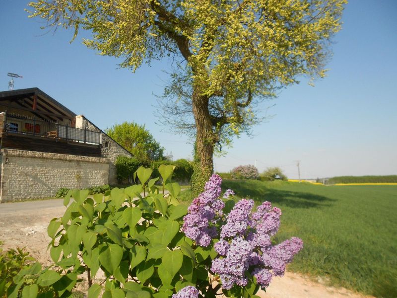 22440369-Ferienhaus-6-Jaulnay-800x600-1