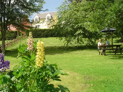 GardenSummer