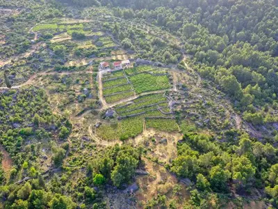 Ferienhaus für 10 Personen in Jelsa 10/10