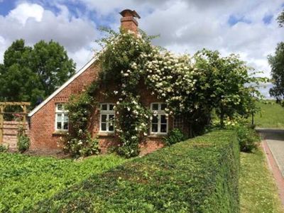 Ferienhaus für 4 Personen (42 m²) in Jemgum 1/10