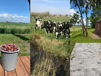 Ferienhaus für 4 Personen (100 m²) in Jemgum 5/10