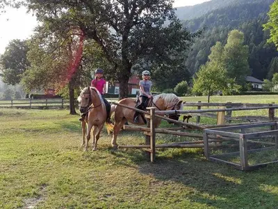 Ferienhaus für 5 Personen (40 m²) in Jenig 10/10