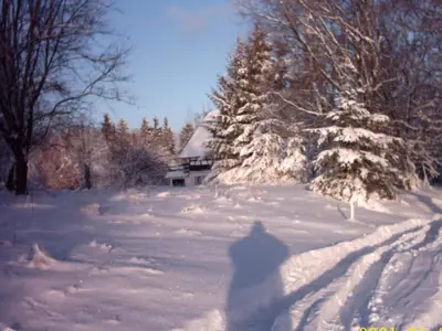 GardenWinter