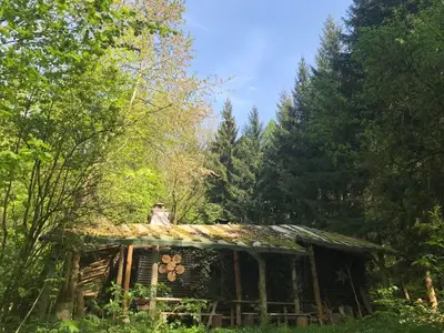 Ferienhaus für 6 Personen (60 m²) in Jonsdorf 2/10