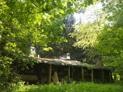 Ferienhaus für 6 Personen (60 m²) in Jonsdorf 2/10