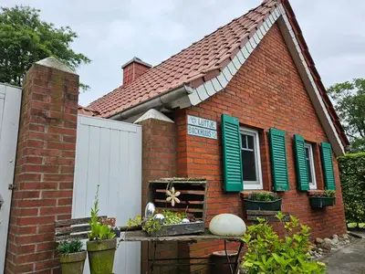Ferienhaus für 2 Personen (38 m²) in Jübberde 8/10