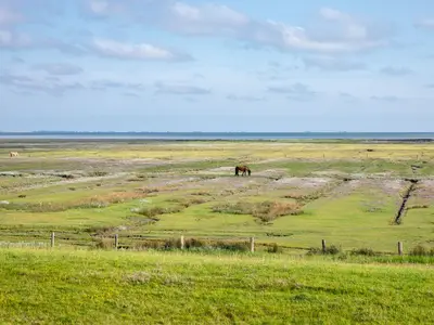 Meerblick