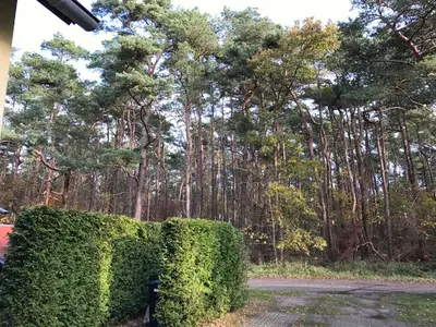 Ferienhaus für 6 Personen (70 m²) in Breege 3/10