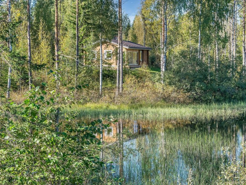 23836574-Ferienhaus-5-Kaavi-800x600-1