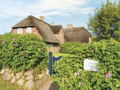 Ferienhaus für 3 Personen (80 m²) in Kampen 2/10