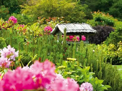 Ferienhaus für 4 Personen (120 m²) in Kampen 3/10