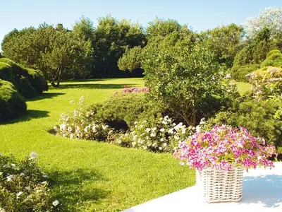 Ferienhaus für 5 Personen (90 m²) in Kampen 3/10