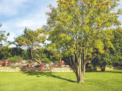 Ferienhaus für 6 Personen (200 m²) in Kampen 9/10