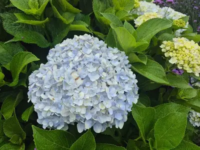 Ferienhaus für 6 Personen (130 m²) in Kampen 4/10