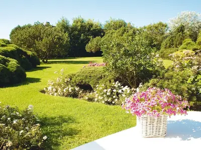 Ferienhaus für 5 Personen (90 m²) in Kampen 8/10