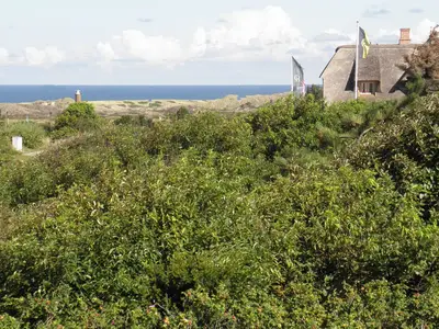 Ferienhaus für 4 Personen (75 m²) in Kampen 6/10