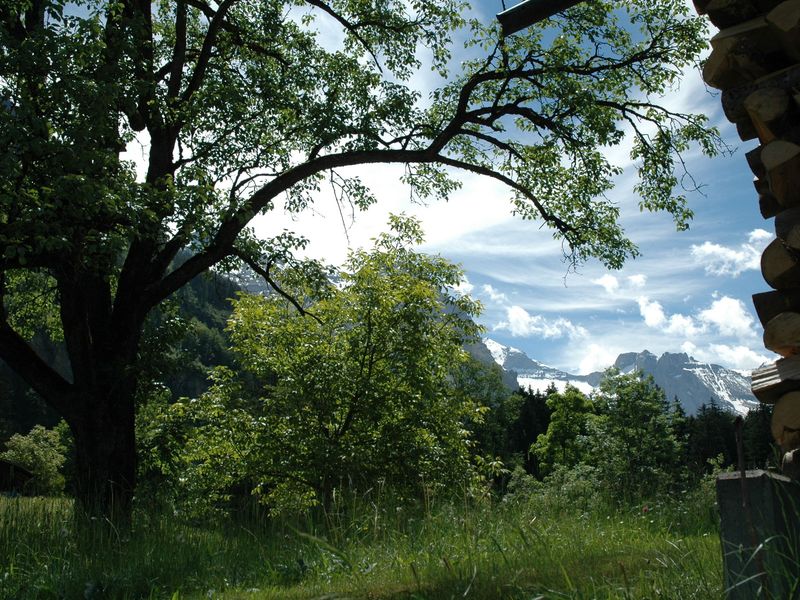 19339275-Ferienhaus-2-Kandergrund-800x600-2