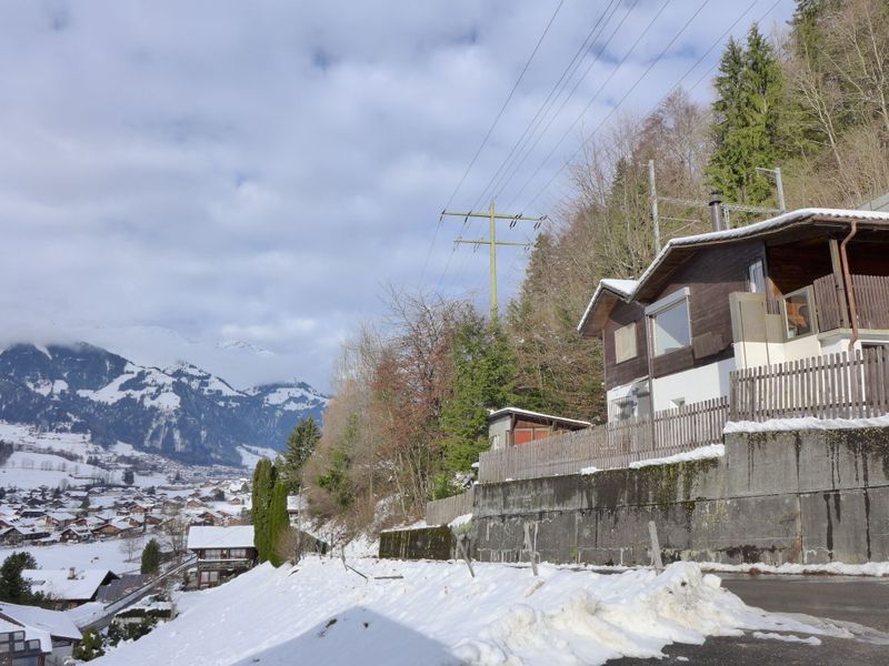 23853703-Ferienhaus-6-Kandergrund-800x600-1