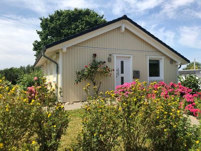 Ferienhaus für 3 Personen (69 m²) in Kappeln 1/10