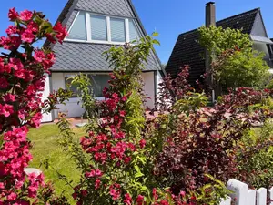 Ferienhaus für 4 Personen (72 m²) in Kappeln