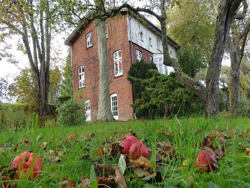 24051999-Ferienhaus-8-Kappeln-800x600-0