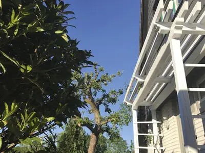 Ferienhaus für 4 Personen (90 m²) in Kappeln 5/10