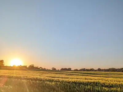 Landschaft