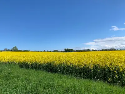 Landschaft
