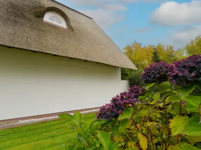 Ferienhaus für 4 Personen (75 m²) in Kappeln 4/10