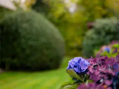 Ferienhaus für 4 Personen (75 m²) in Kappeln 8/10