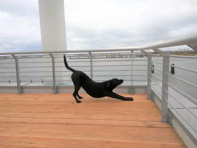 Ferienhaus für 5 Personen (106 m²) in Kappeln 10/10