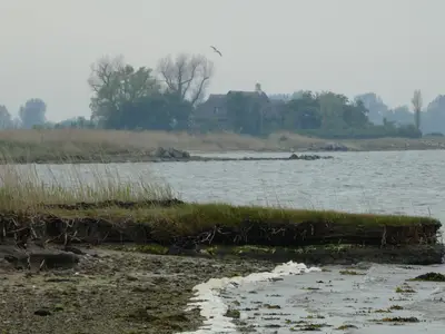 Ferienhaus für 4 Personen (40 m²) in Kappeln 10/10