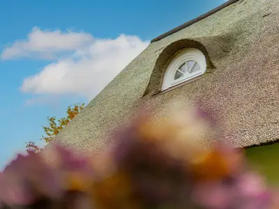 Ferienhaus für 4 Personen (75 m²) in Kappeln 8/10