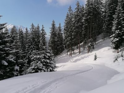 Schneeschuhwanderung