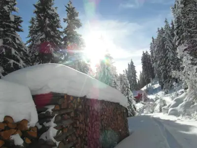 Wandern im Winter