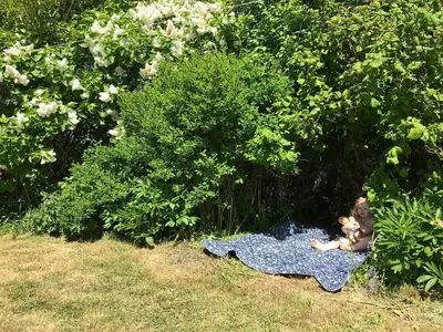Outdoor