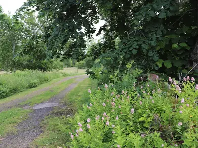 Outdoor
