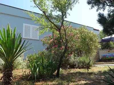 Ferienhaus für 4 Personen (60 m²) in Ribarica 1/10
