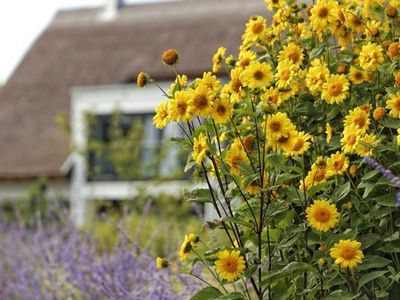 Ferienhaus für 8 Personen (150 m²) in Karlshagen 8/10